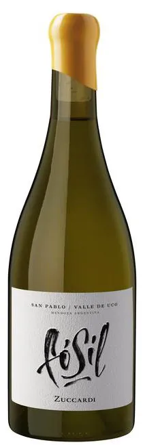 Valle de Uco Fósil Zuccardi