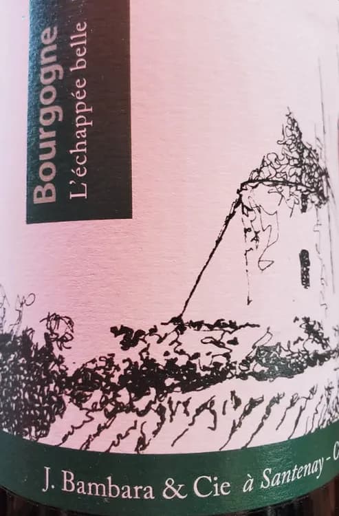 Bourgogne L'échappée belle J.Bambara & Cie