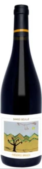 Vin de France Samsó Seulle Domaine Frédéric Brouca