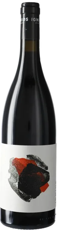 Vijariego Negro Ycoden-Daute-Isora Ignios Origenes Borja Pérez