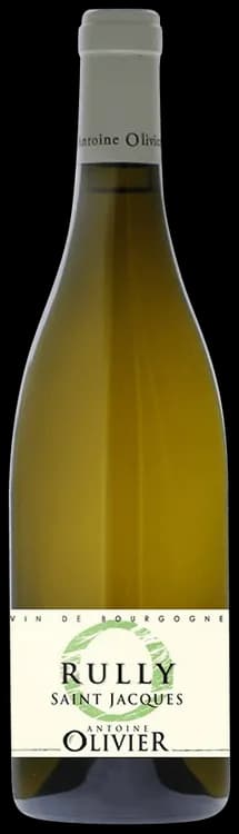 Rully Saint Jacques Antoine Olivier