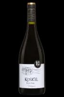 Pinot noir Patagonia Koskil Grupo Penaflor